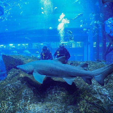 best places to scuba dive header det atlantis