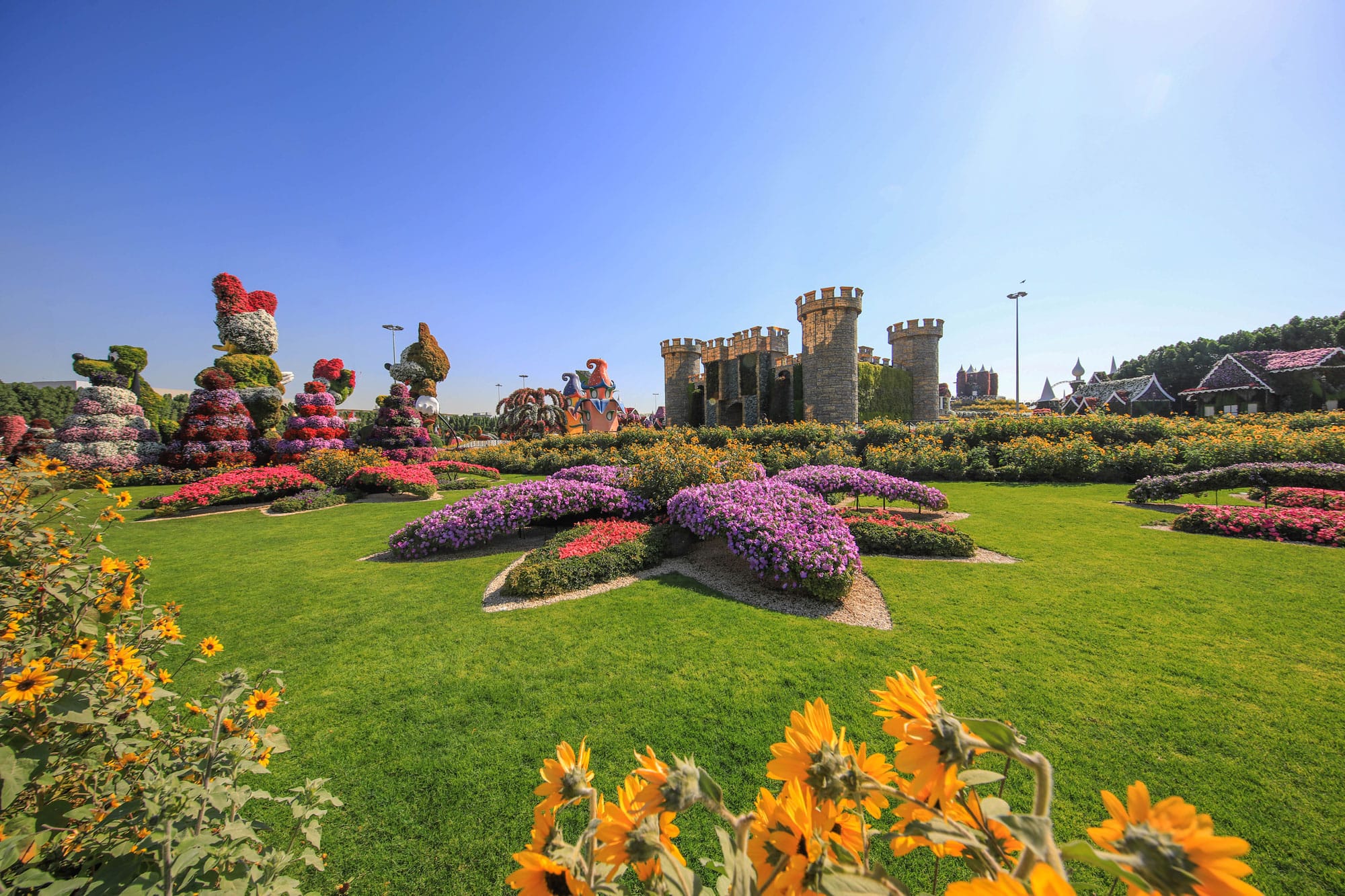 Dubai Miracle Garden, garden of hearts HD phone wallpaper | Pxfuel