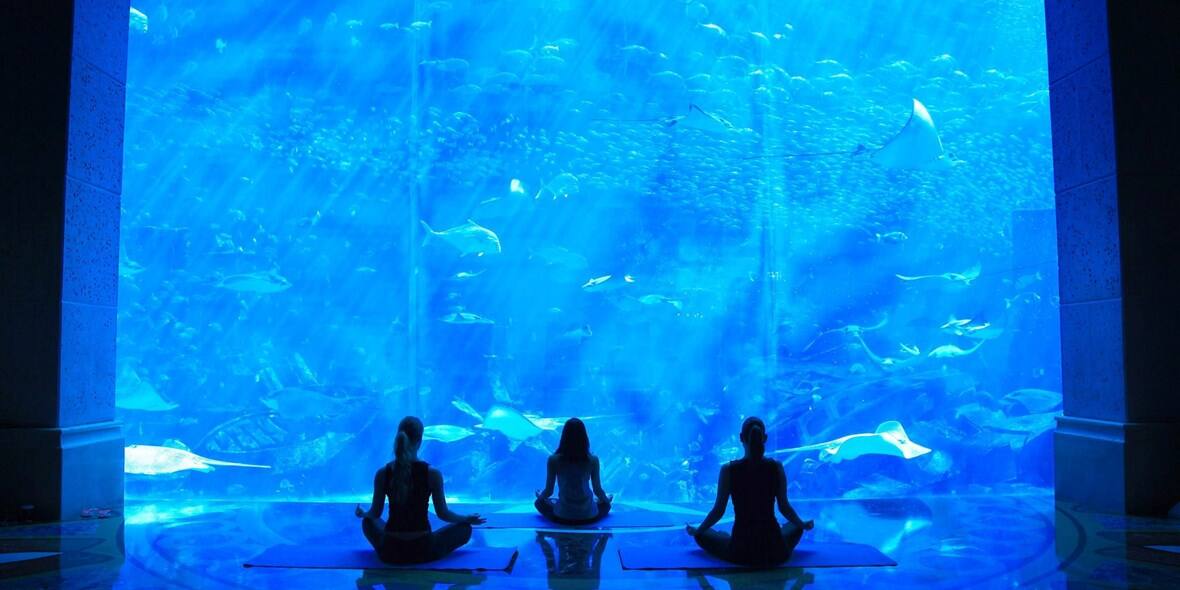 Best Yoga Studio in Dubai — The Hidden Gem Among Dubai's Best Yoga