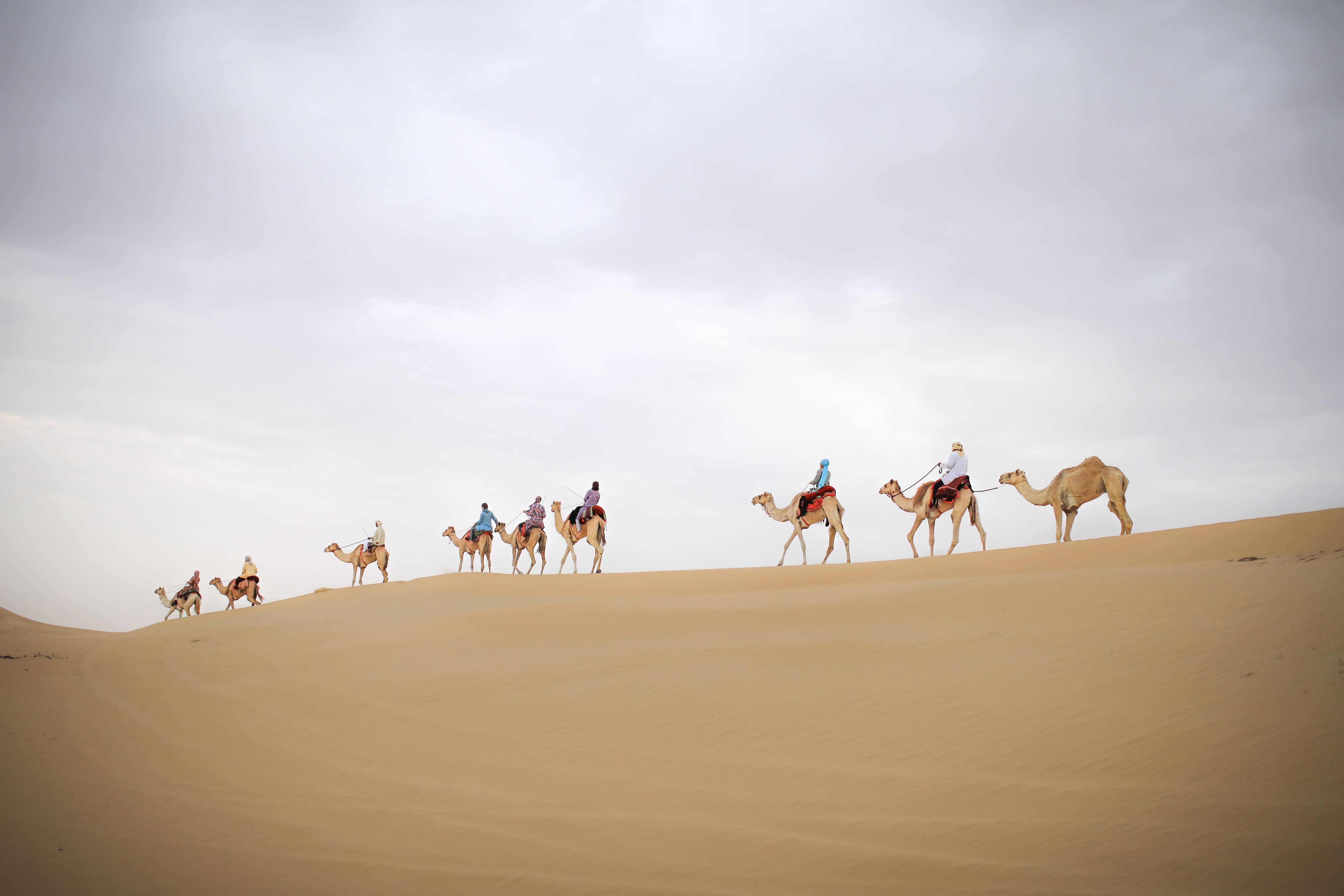 Things to do in Al Marmoom Desert in Dubai | Visit Dubai