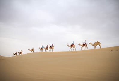what-to-do-in-al-marmoom-desert-camel-desert-header