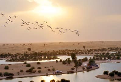 Al Qudra Lakes Dubai