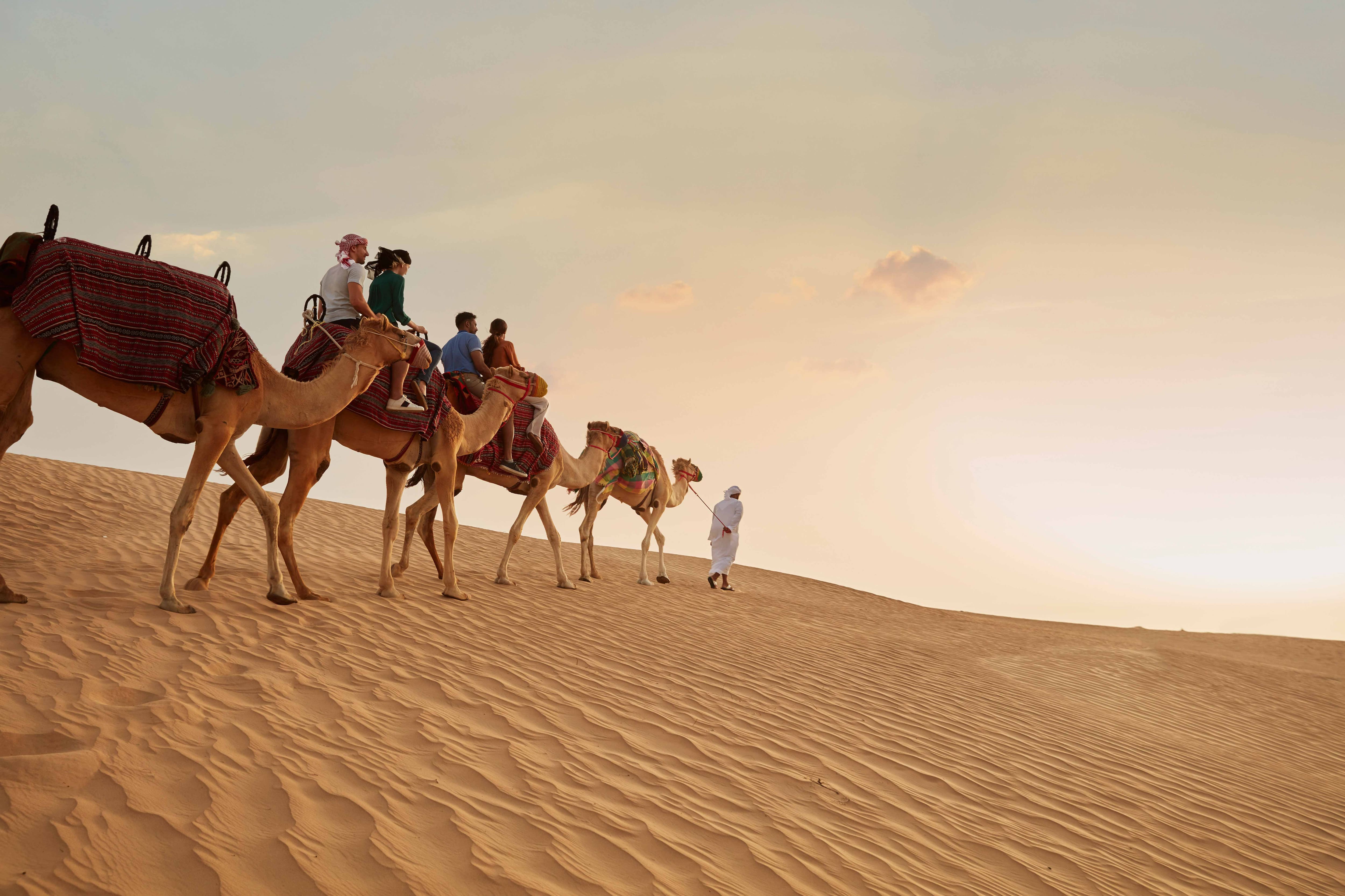 desert tourism dubai contact number