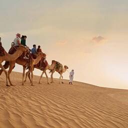 Arabian Desert Tours | Tour Operator in Dubai | Visit Dubai