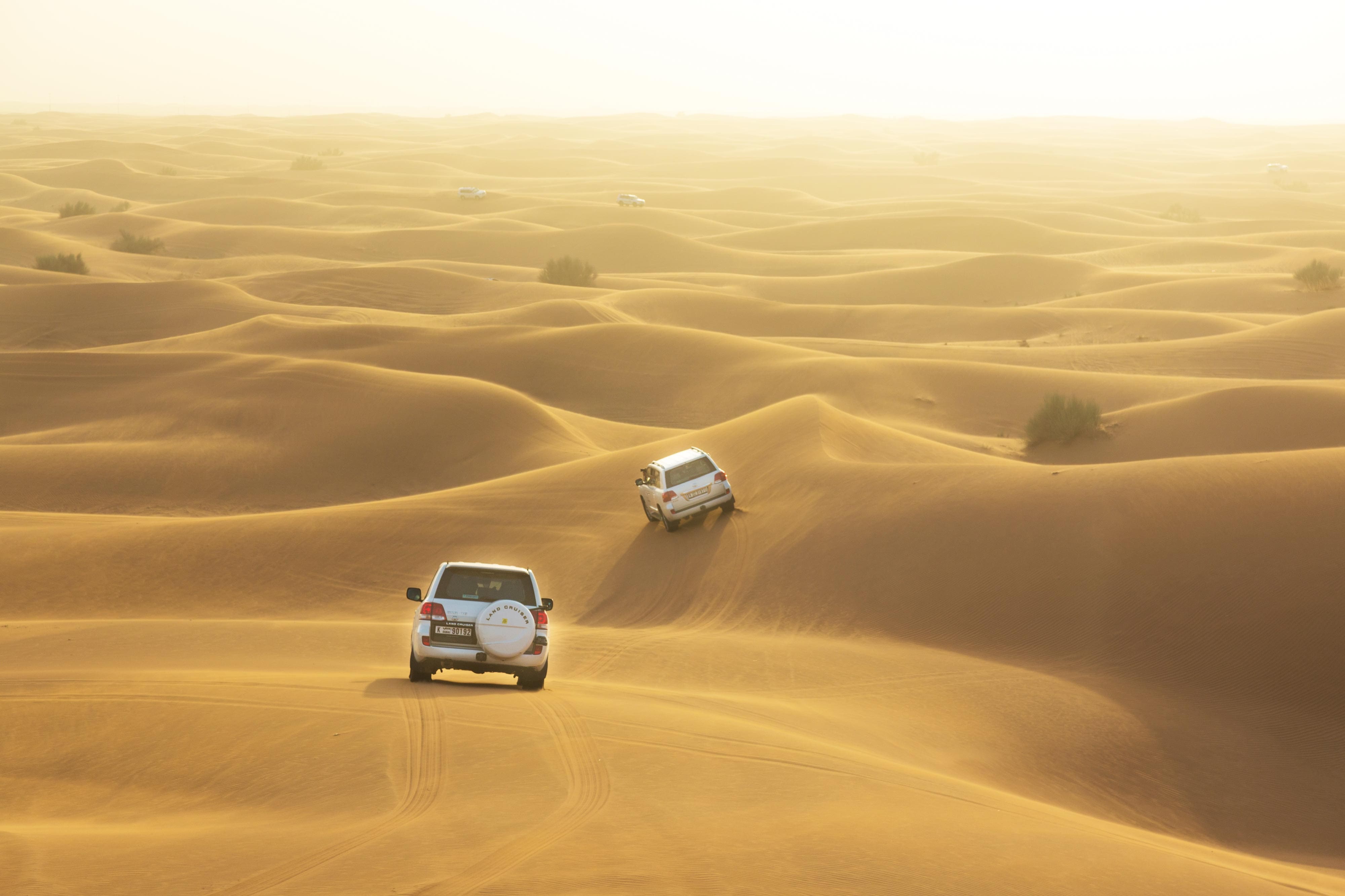 You Dont Want To Miss Dubais Great Desert Safari Get Way Line