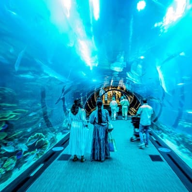 dubai mall aquarium tunnel