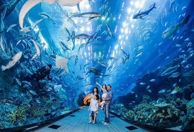 Dubai Aquarium and Underwater Zoo