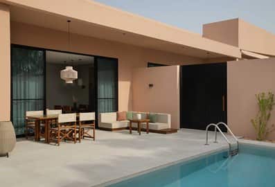 Melia desert palm
