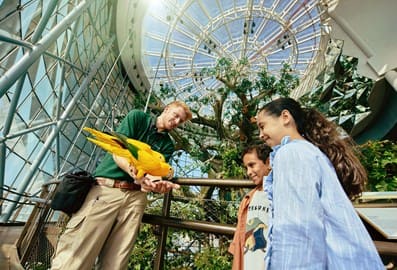 There are loads of great activities for kids this summer in Dubai, including Green Planet.