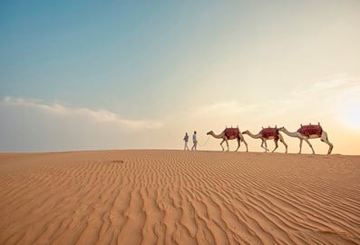 Local culture and heritage