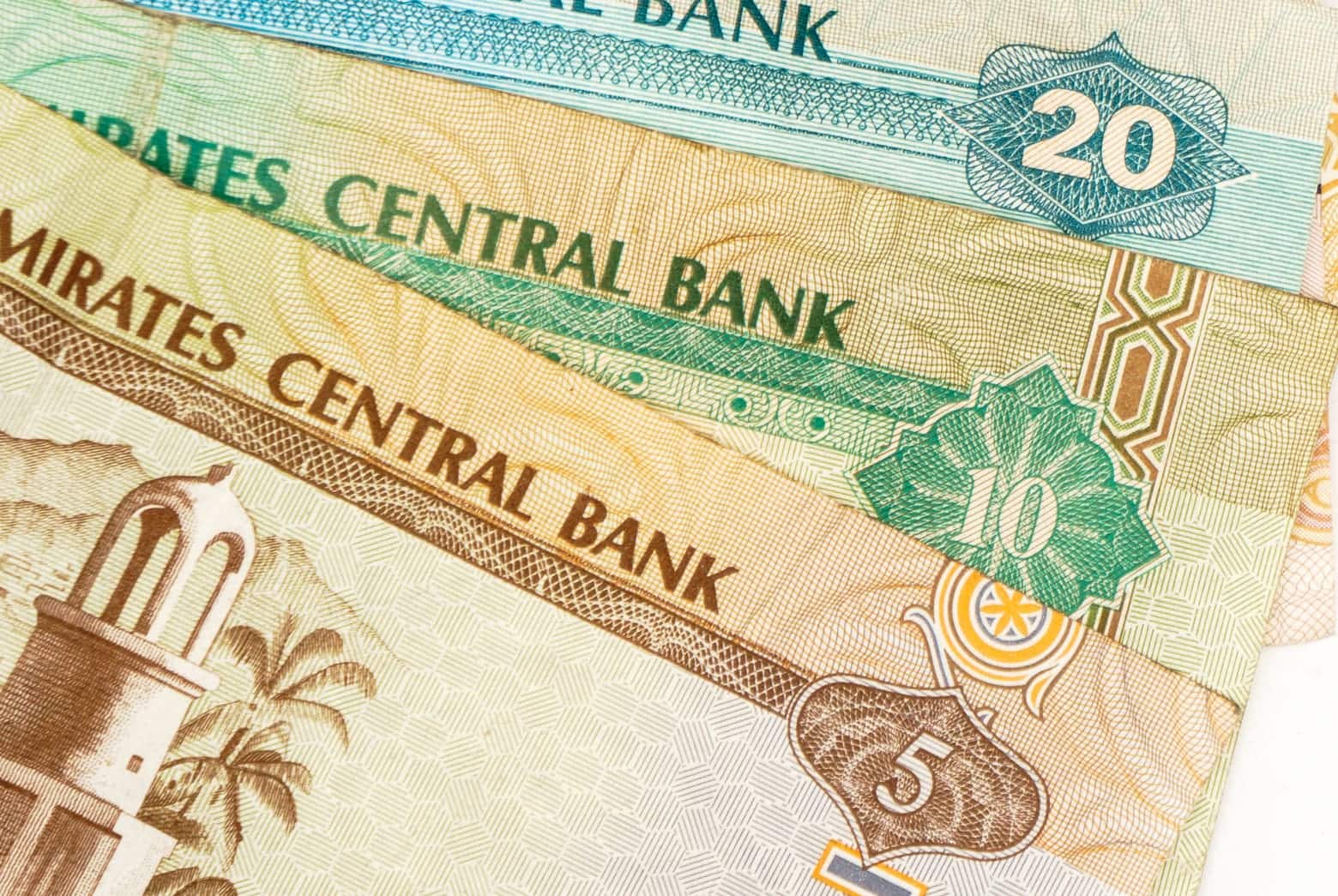 UAEディルハム紙幣 (アラブ首長国連邦) - その他