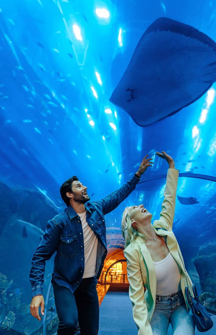A young couple exploring the marine life in an underwater tunnel at Dubai Aquarium.